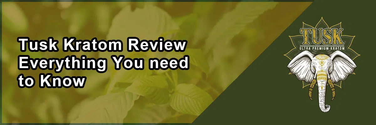 Tusk Kratom Review – Everything You need to Know