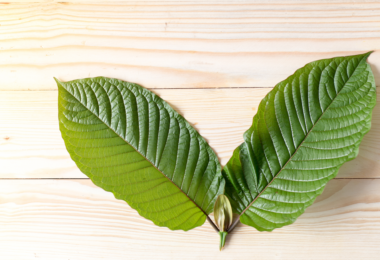 Kratom's legal status in Maine.