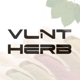 VLNT Herb Kratom Vendor Review