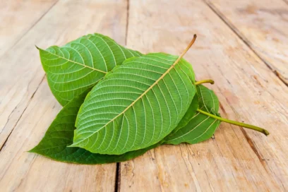 What is kratom?