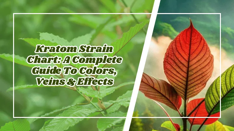 kratom strain