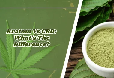 Kratom Vs CBD