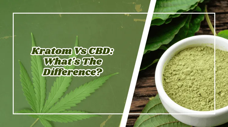 Kratom Vs CBD