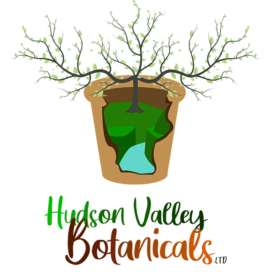 Garuda Kratom Hudson Valley Botanicals Vendor Review