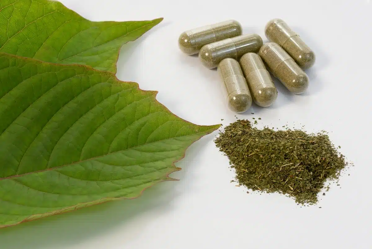 Kratom capsules, powder, and leaves against plain background