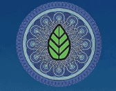 Lake Tahoe Kratom Vendor Review