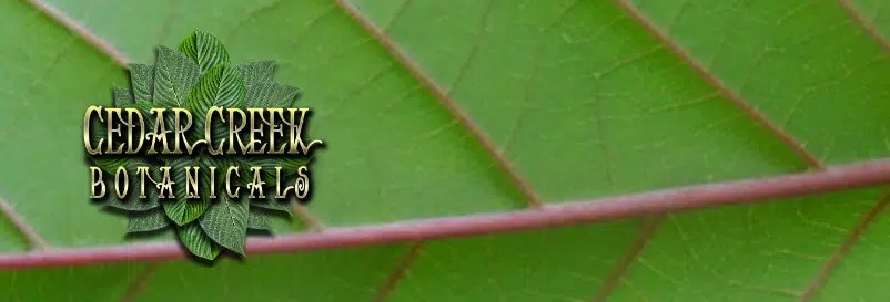 cedar creek botanicals logo and leaf background