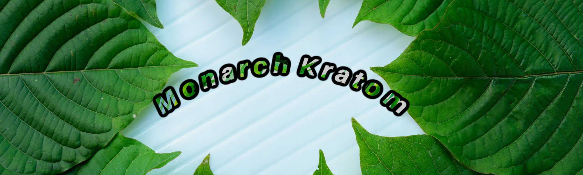 monarch kratom leaves