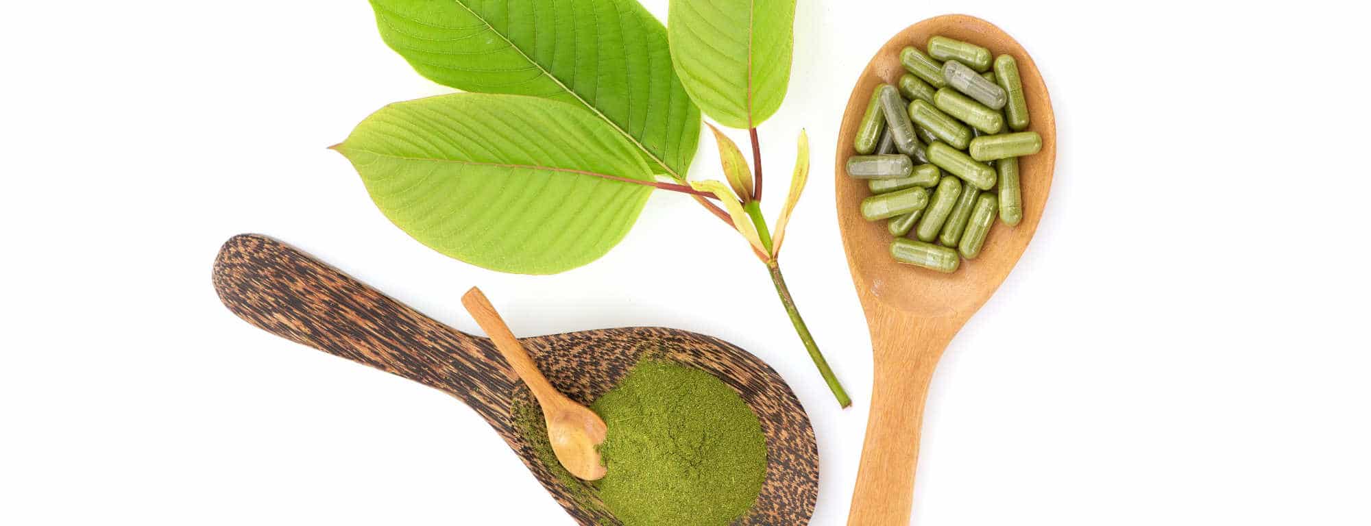 products-of-monarch-kratom