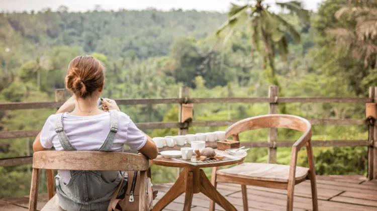 What Are Kratom Strains And Their Effects