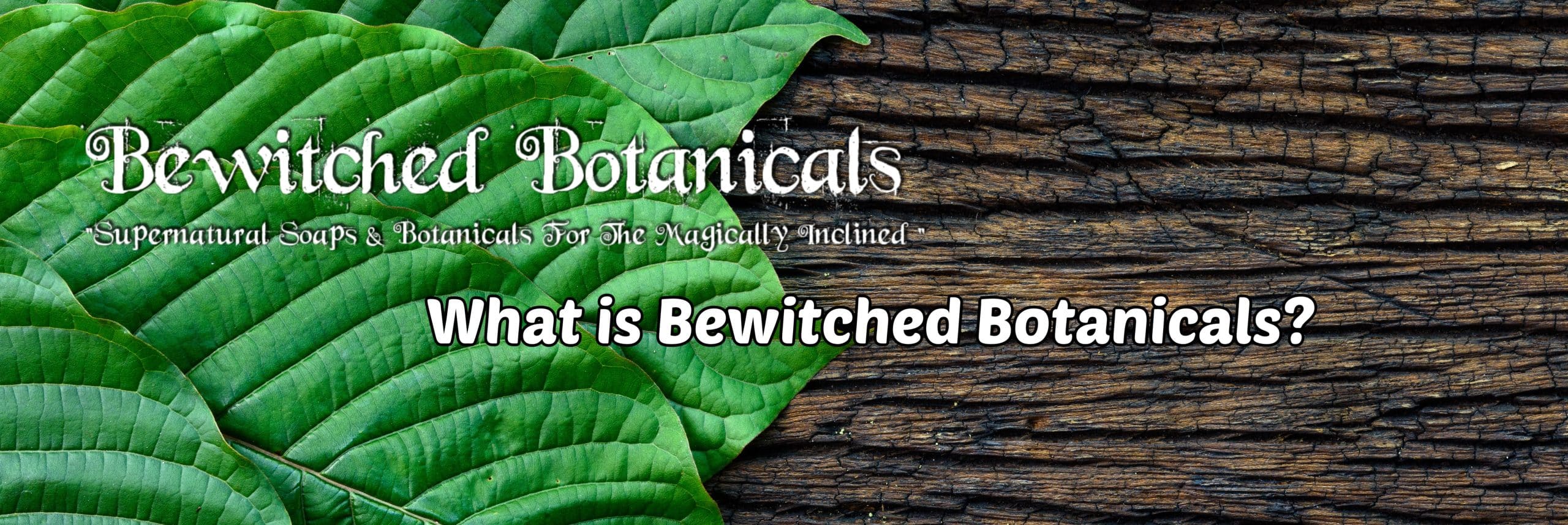 image of what is bewitched botanicals 