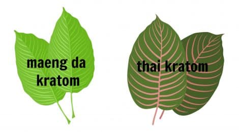 image of botanical romance kratom products