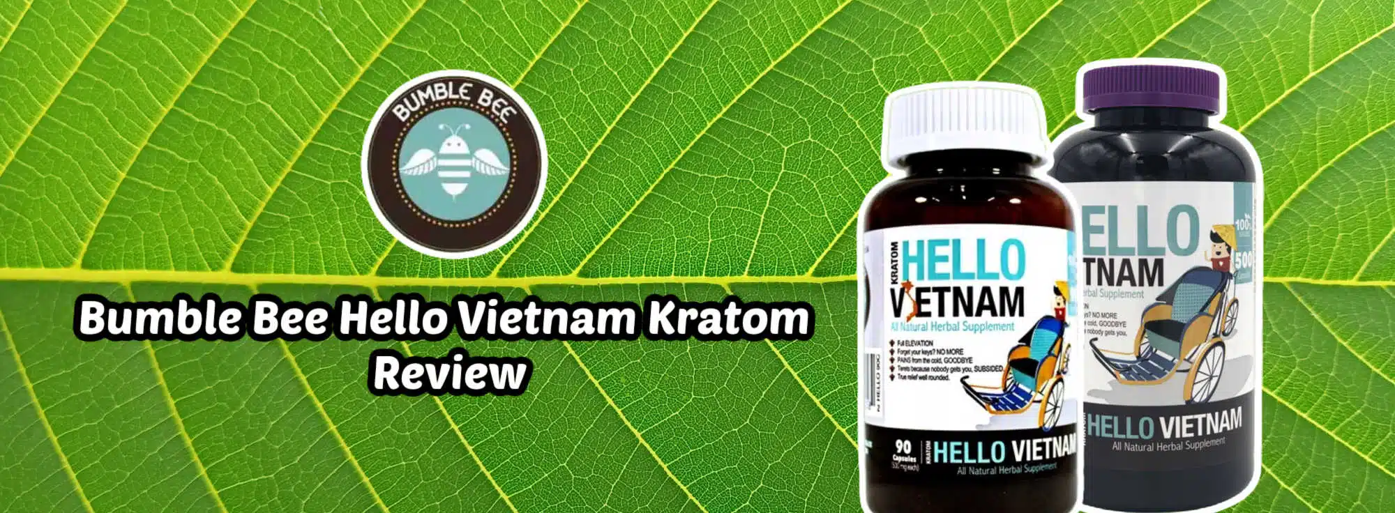 Bumble Bee Hello Vietnam Product Review – What You Need to Know