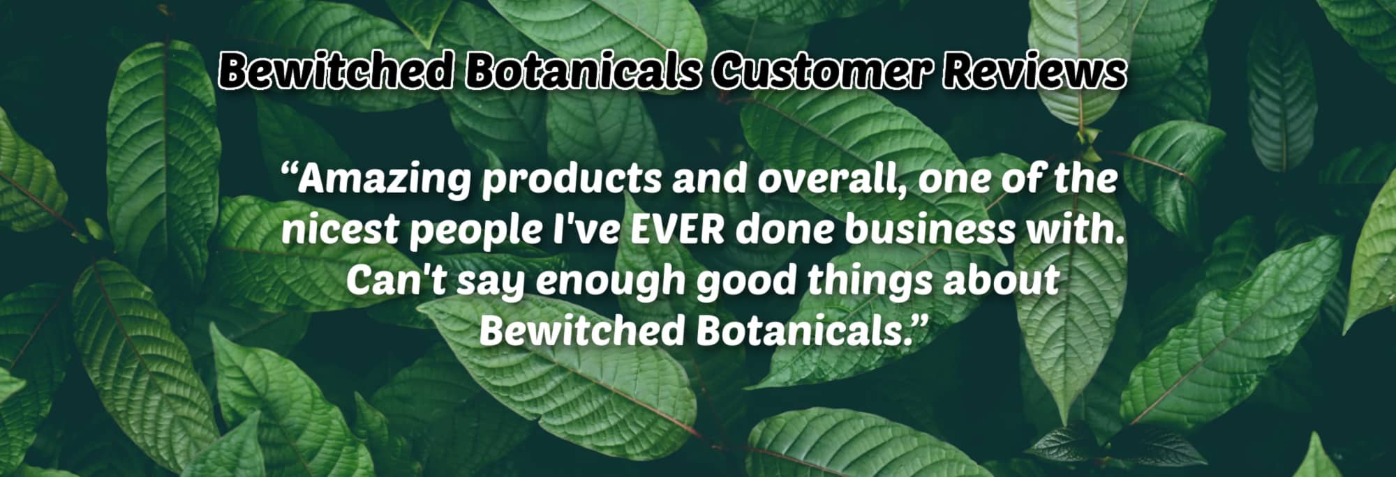 image of bewitched botanicals customer reviews