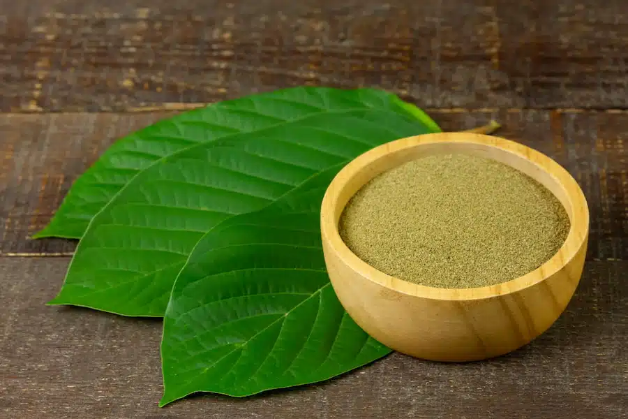Exploring Kratom Benefits and Effects