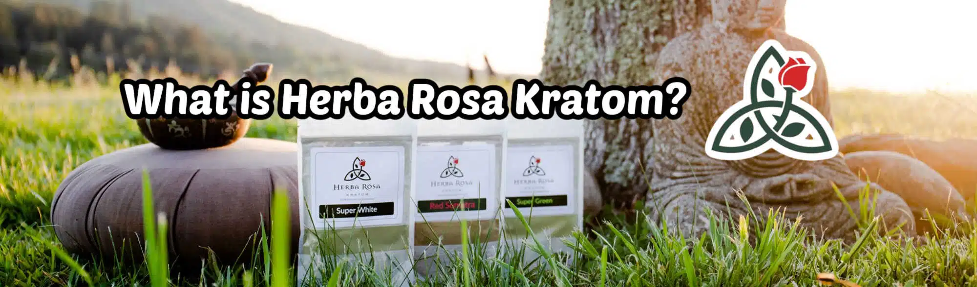 "What is herba rosa kratom?" review banner