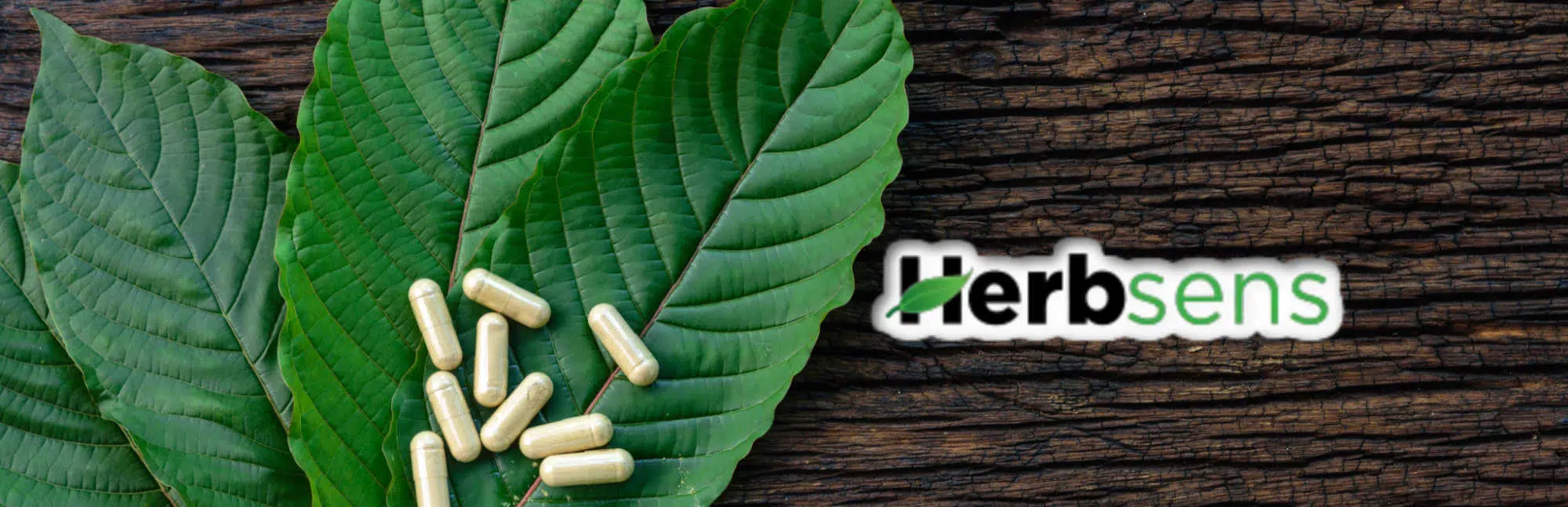 image of herbsens kratom logo