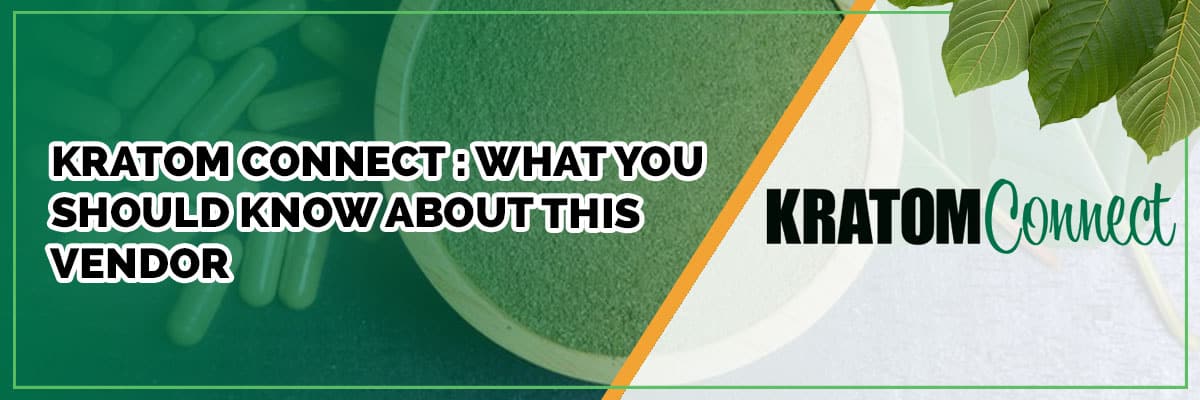 kratom connect : what you should know about this vendor