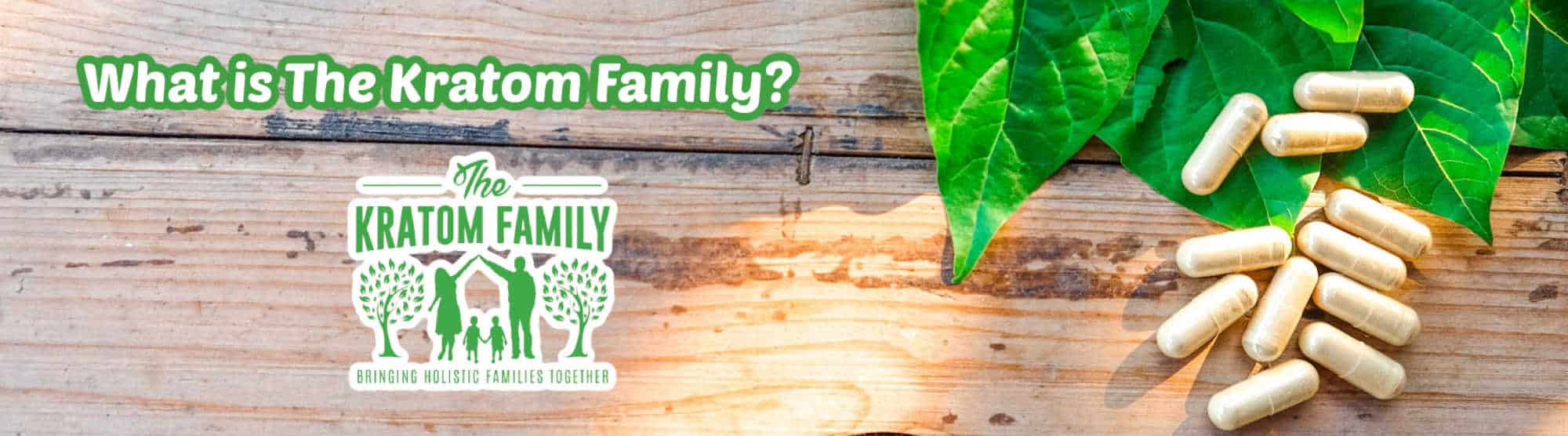 image of what is the kratom family