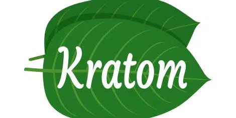image of kratom leaves