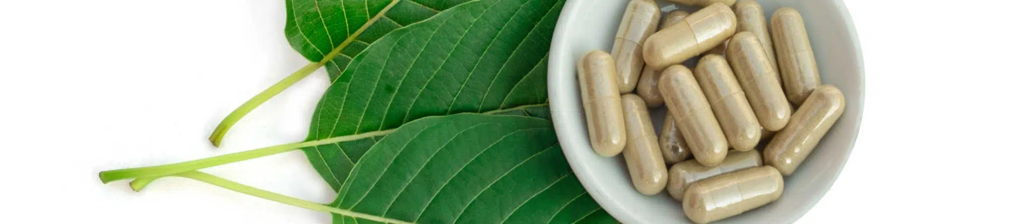 image of kratom leaves and capsules