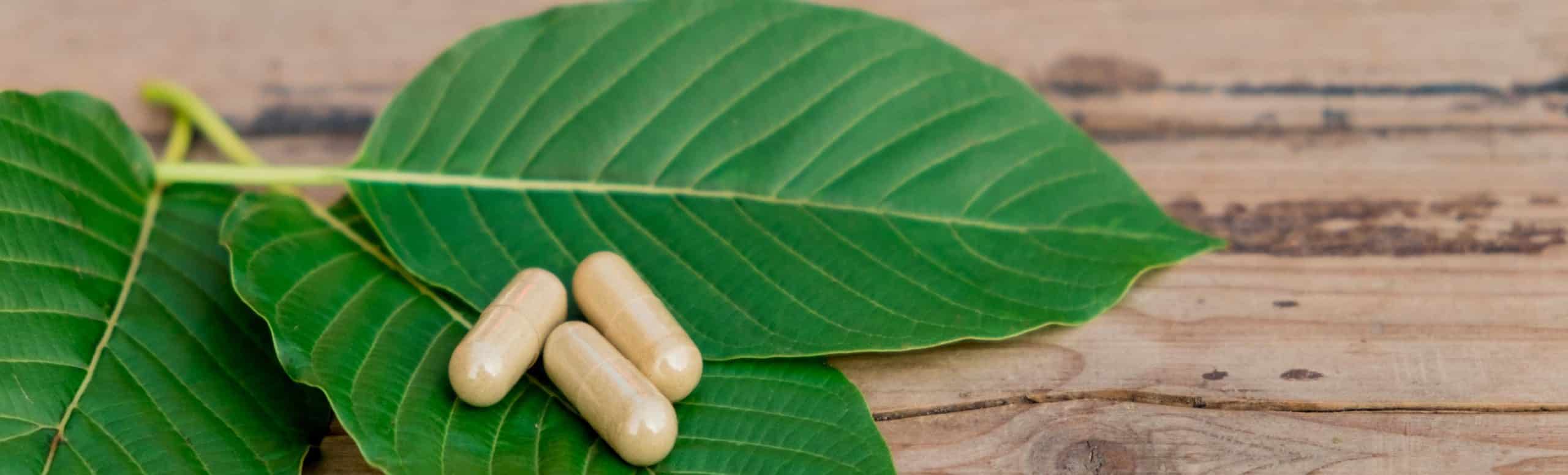 image of kratom leaves and capsules