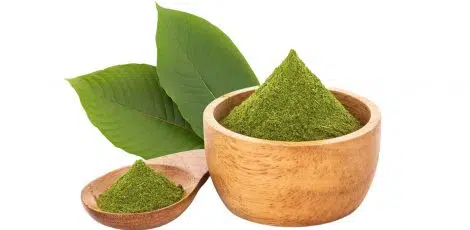 image of kratom leaves and powder