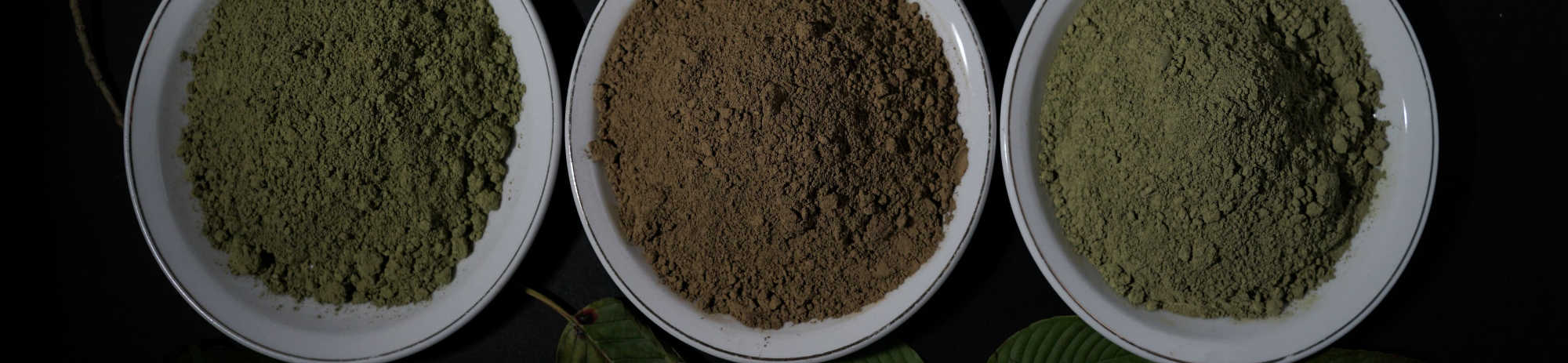 image of kratom powders