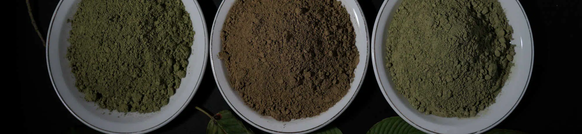 image of kratom powders