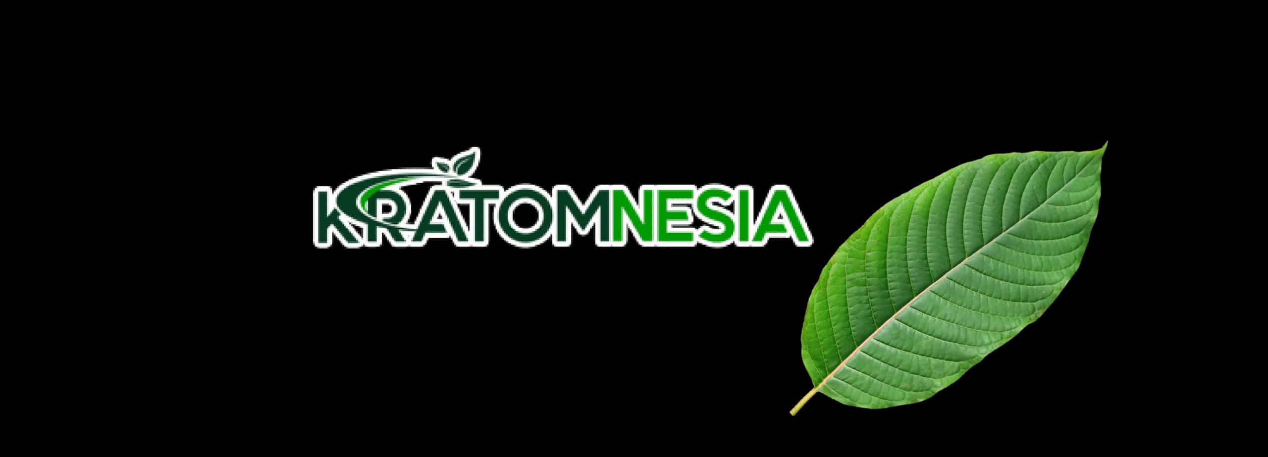 image of kratomnesia logo
