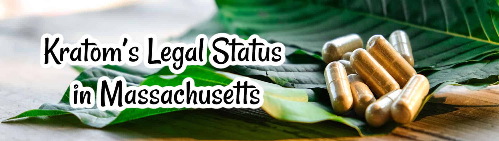 image of kratoms legal status in massachusetts