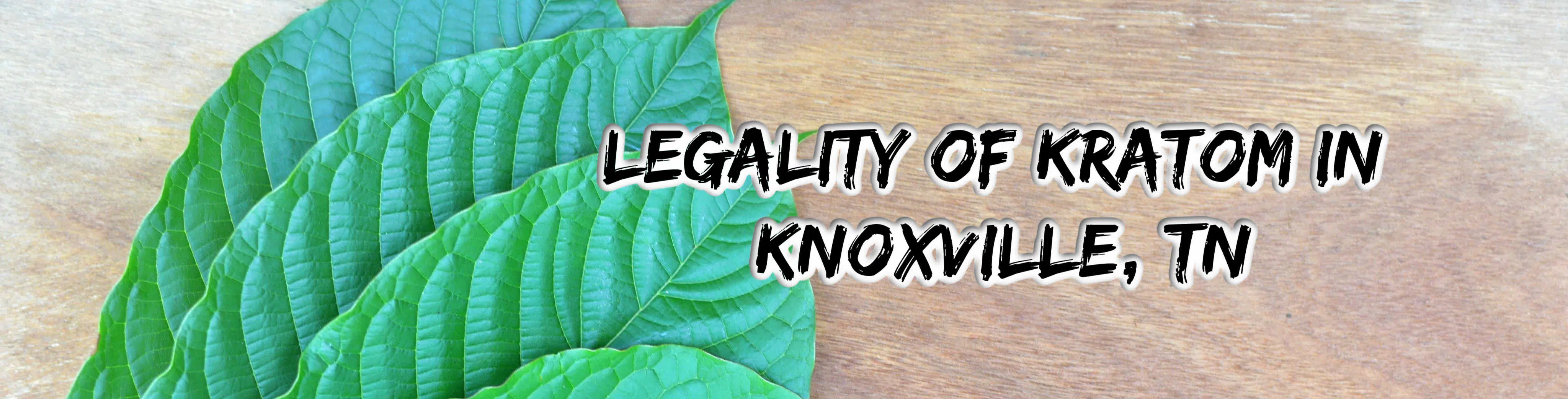 image of kratom legality in knoxville