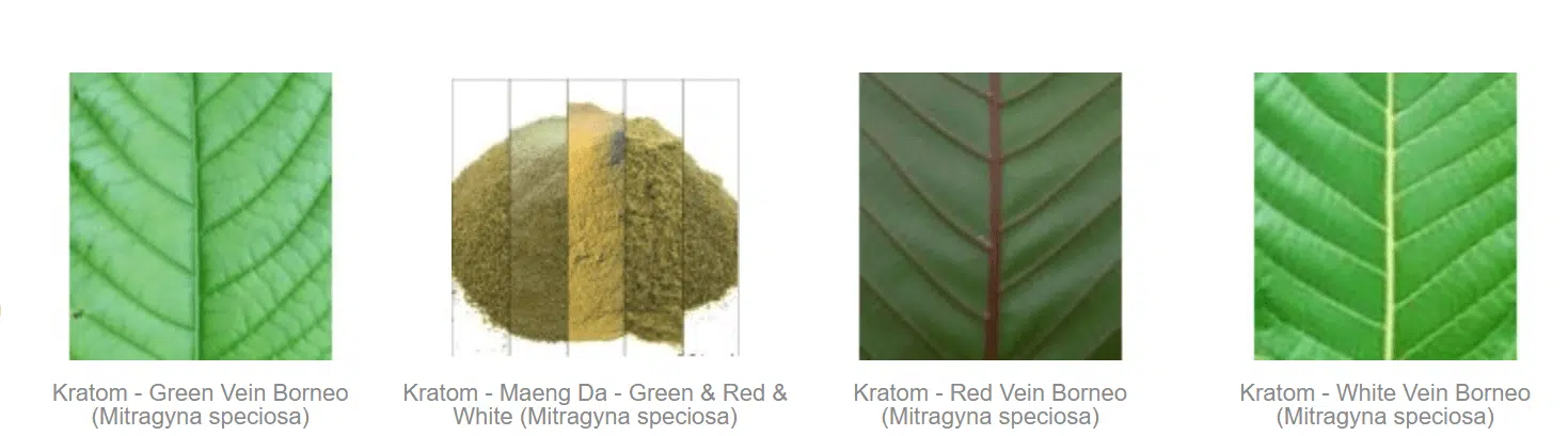 image of mr botanicals kratom products