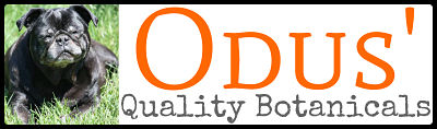 Odus Quality Botanicals Kratom Vendor Review