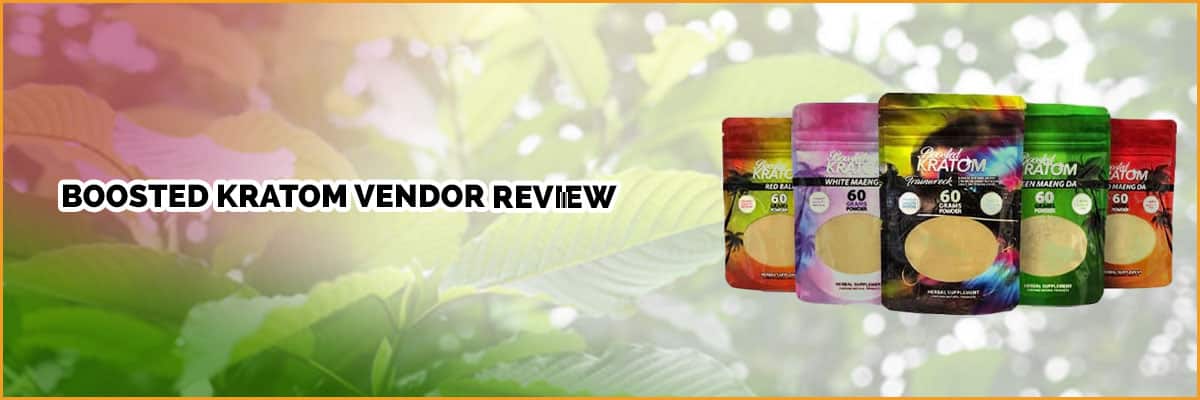 Boosted Kratom Review: Know the Pros and Cons of this Smaller Brand