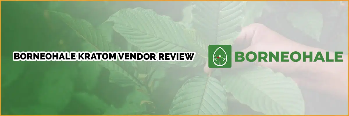 Borneohale Kratom Vendor Review