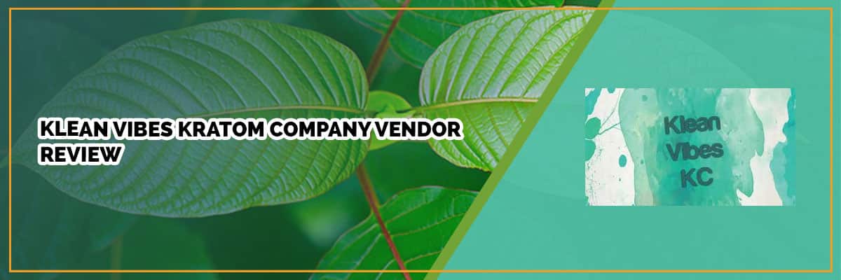 Klean Vibes Kratom Company Vendor Review