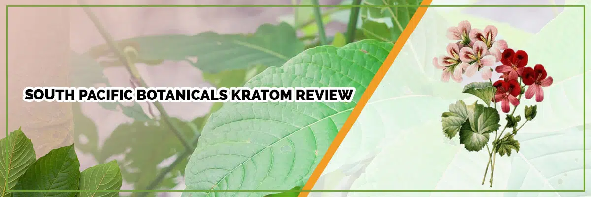 South Pacific Botanicals Kratom Review