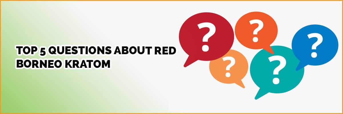 Top 5 Questions About Red Borneo Kratom 