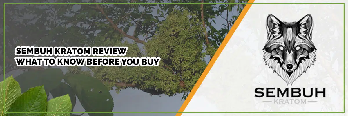 Sembuh Kratom review banner: What to Know Before You Buy