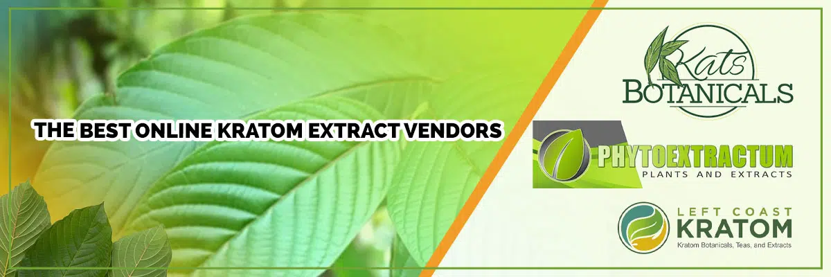 The Best Online Kratom Extract Vendors