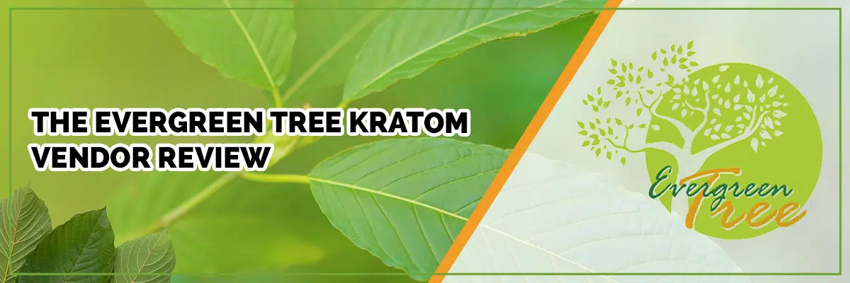 The Evergreen Tree Kratom Vendor Review
