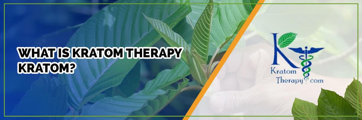 What is Kratom Therapy Kratom?