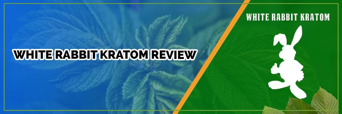 White Rabbit Kratom Review