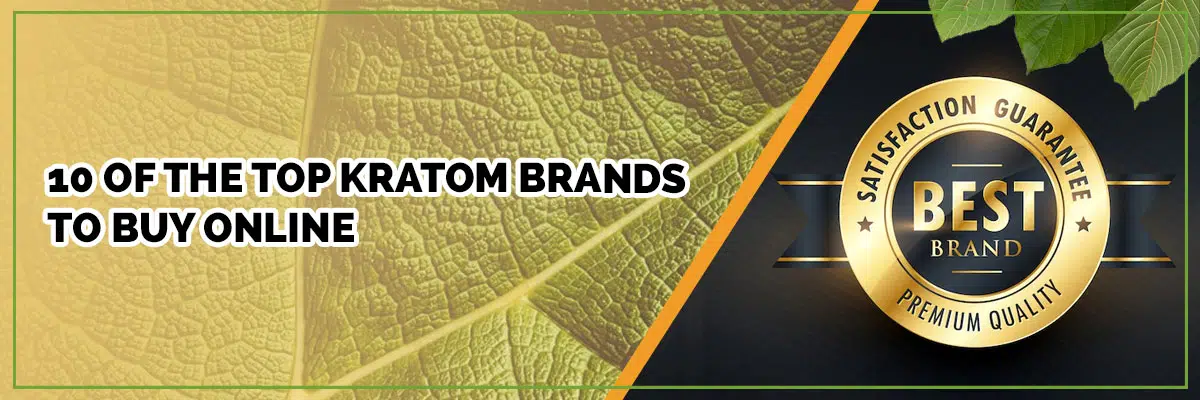 10 of the Top Kratom Brands to Buy Online