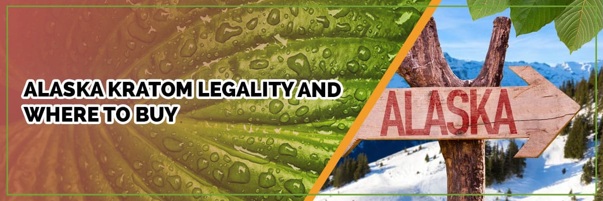 Alaska Kratom Legality and Where to Buy