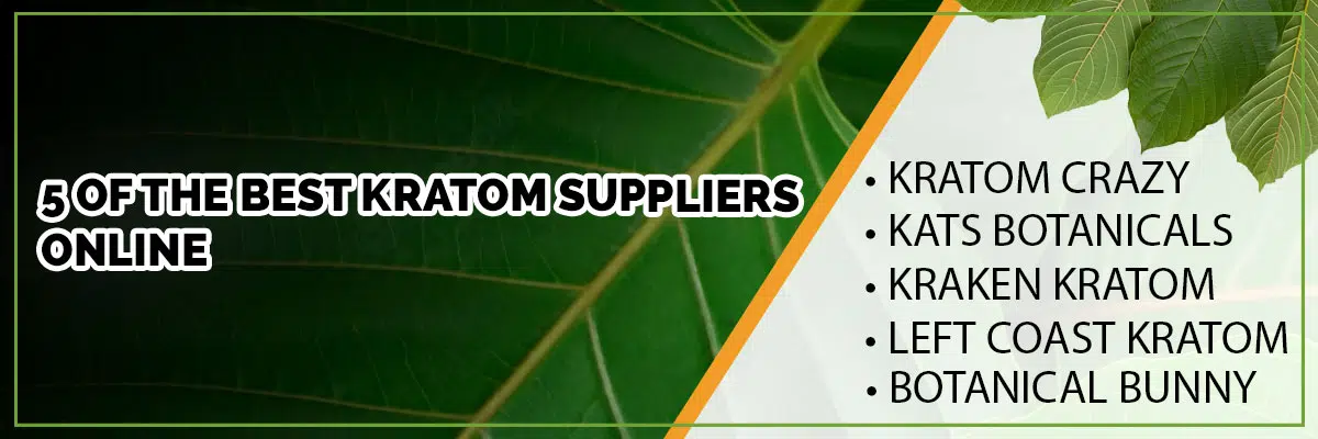 5 of the Best Kratom Suppliers Online