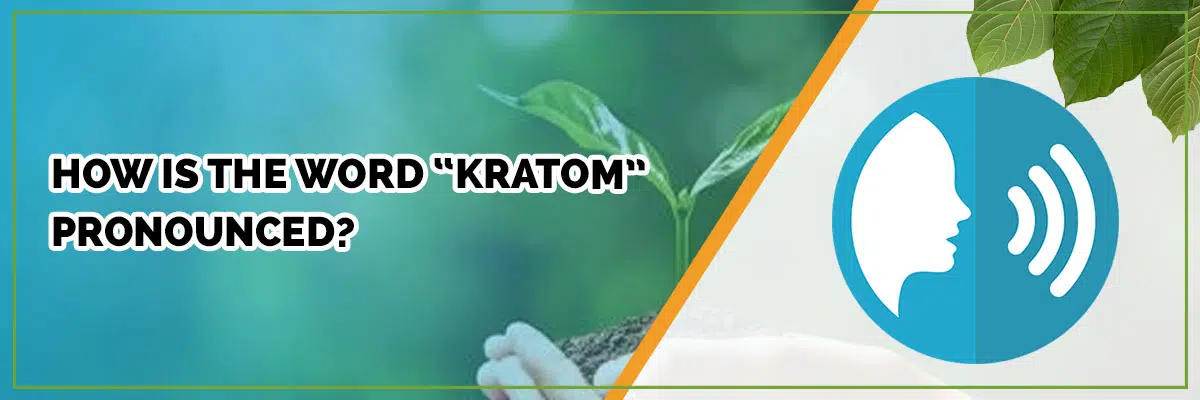 How is the Word “Kratom” Pronounced?