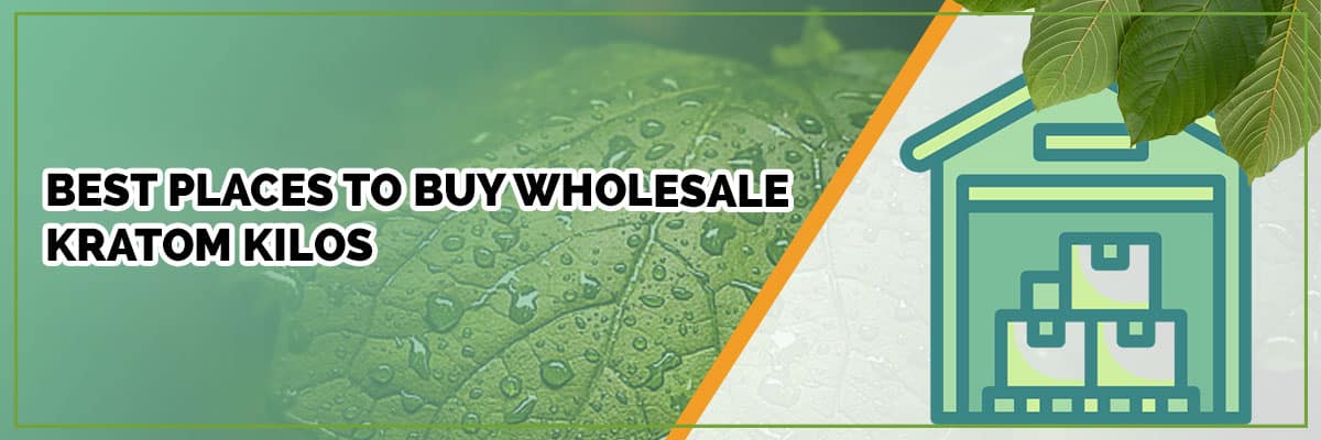 Places to buy wholesale Kratom Kilos banner