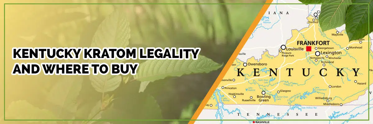 Is Kratom Legal in Kentucky? State Laws and Regulations